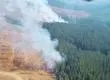 Corma exige ley de incendios tras incremento de incendios con alta intencionalidad en el Biobío