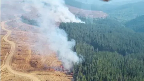 Corma exige ley de incendios tras incremento de incendios con alta intencionalidad en el Biobío