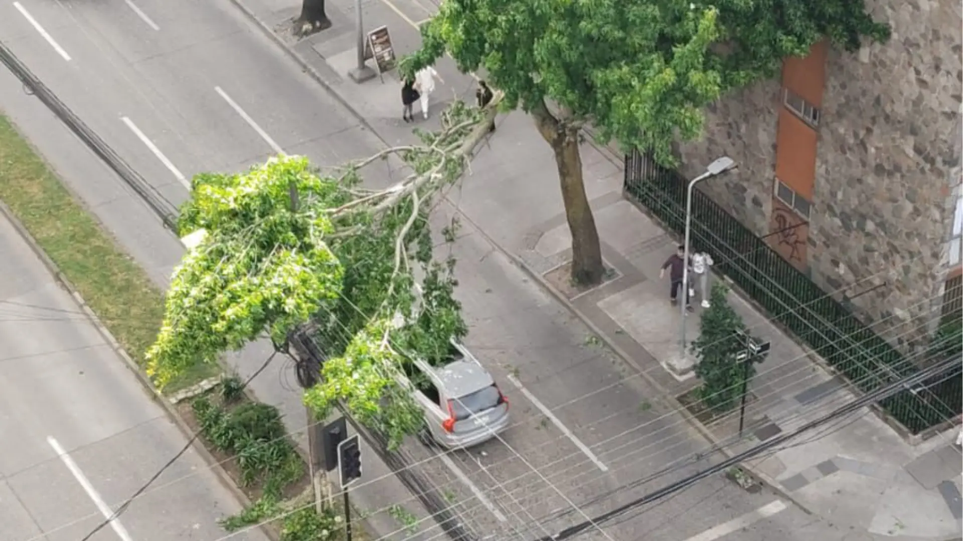 Caída de rama sobre tendido eléctrico deja a casi 4 mil personas sin luz en Concepción