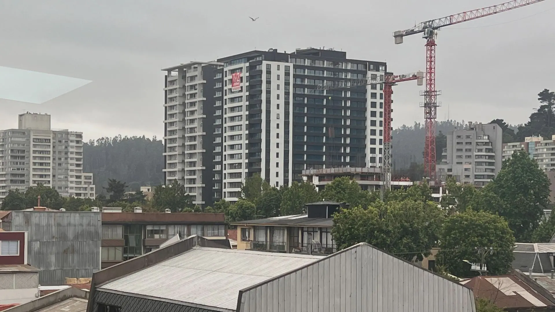 ¿Saldrá el sol este miércoles 26 de noviembre en Concepción?