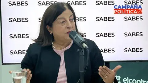 “El registro de placas de autos robados hoy es exclusivo de Carabineros”: Alicia Yáñez y el escenario de este ilícito en el Gran Concepción