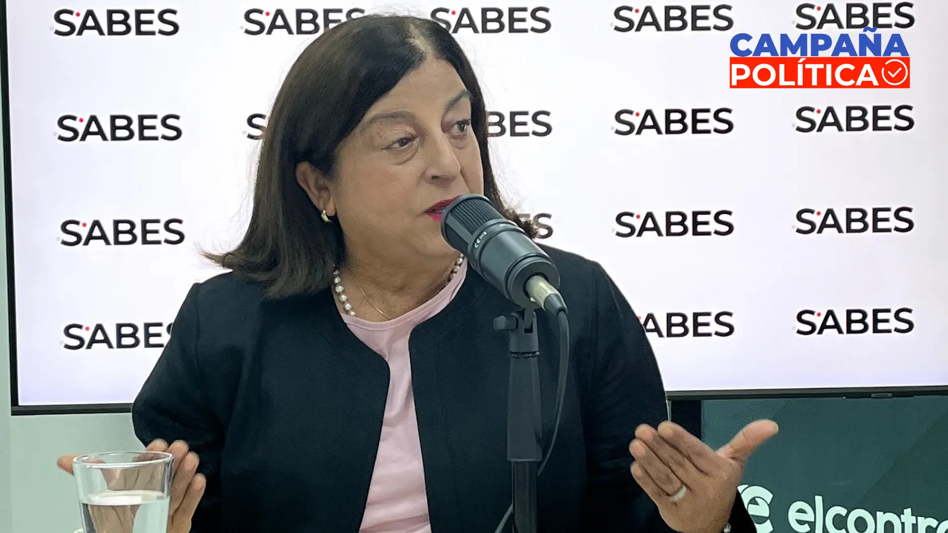 “El registro de placas de autos robados hoy es exclusivo de Carabineros”: Alicia Yáñez y el escenario de este ilícito en el Gran Concepción