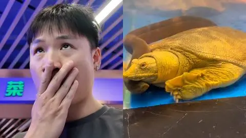 Yuhui Lee desató furia en redes sociales al mostrar cómo matan y cocinan a tortuga