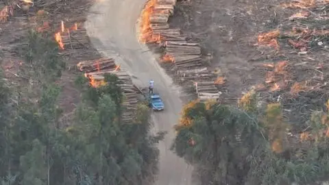 Sujetos roban madera en Coronel y terminan provocando tres incendios intencionales para huir de Carabineros