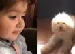 Perrita viral del “sácala de ahí” pasa por complejo momento de salud: Familia pide ayuda