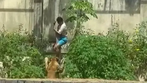 La historia del joven vulnerable que murió tras entrar a jaula de una leona deja al descubierto abandono de la salud mental en Brasil