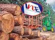 Octubre para el olvido en la industria forestal del Biobío: Se registró casi un 50% menos de exportaciones que igual mes del año anterior