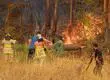 Declaran Alerta Temprana Preventiva en Ñuble por alto riesgo de incendios ante ola de calor