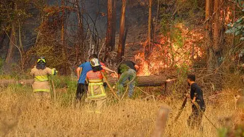 Declaran Alerta Temprana Preventiva en Ñuble por alto riesgo de incendios ante ola de calor