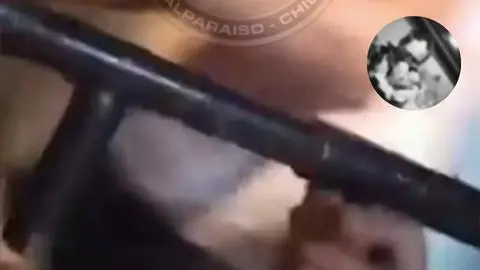 Secuestro por homofobia en Viña del Mar: Joven fue torturado, amenazado con arma hechiza y grabado por sujetos