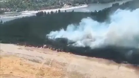 Incendio forestal en Colonia Santa Fe sigue activo: ya son 80 hectáreas afectadas