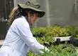 El “cerebro científico” de ARAUCO está en Concepción: conoce cómo funciona Bioforest, su centro de investigación