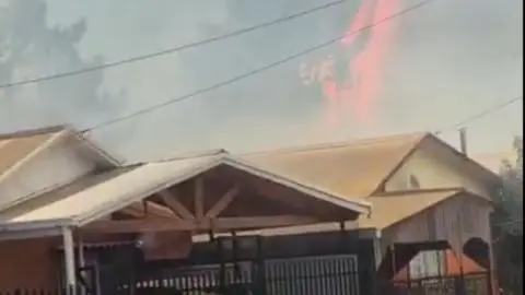 Incendio forestal de Hualqui se propaga rápidamente: Peligran casas del sector
