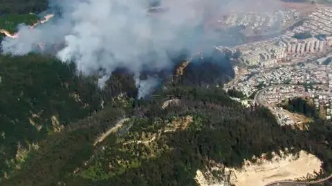 Decretan alerta roja por incendio forestal cercano a viviendas en zona urbana de Constitución