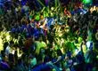Concepción se prepara para Año Nuevo 2026 con múltiples anuncios de fiestas y carretes: precios,  entradas y dónde celebrar