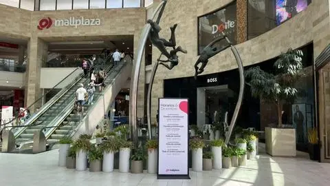 Delincuentes protagonizan millonario robo en Mallplaza Trébol: Ingresaron a tiendas premium del sector Aires