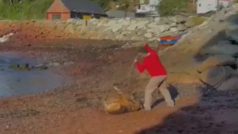 Hombre mató con una “lanza” a una perrita en playa de Lota y amenazó de muerte a su dueña
