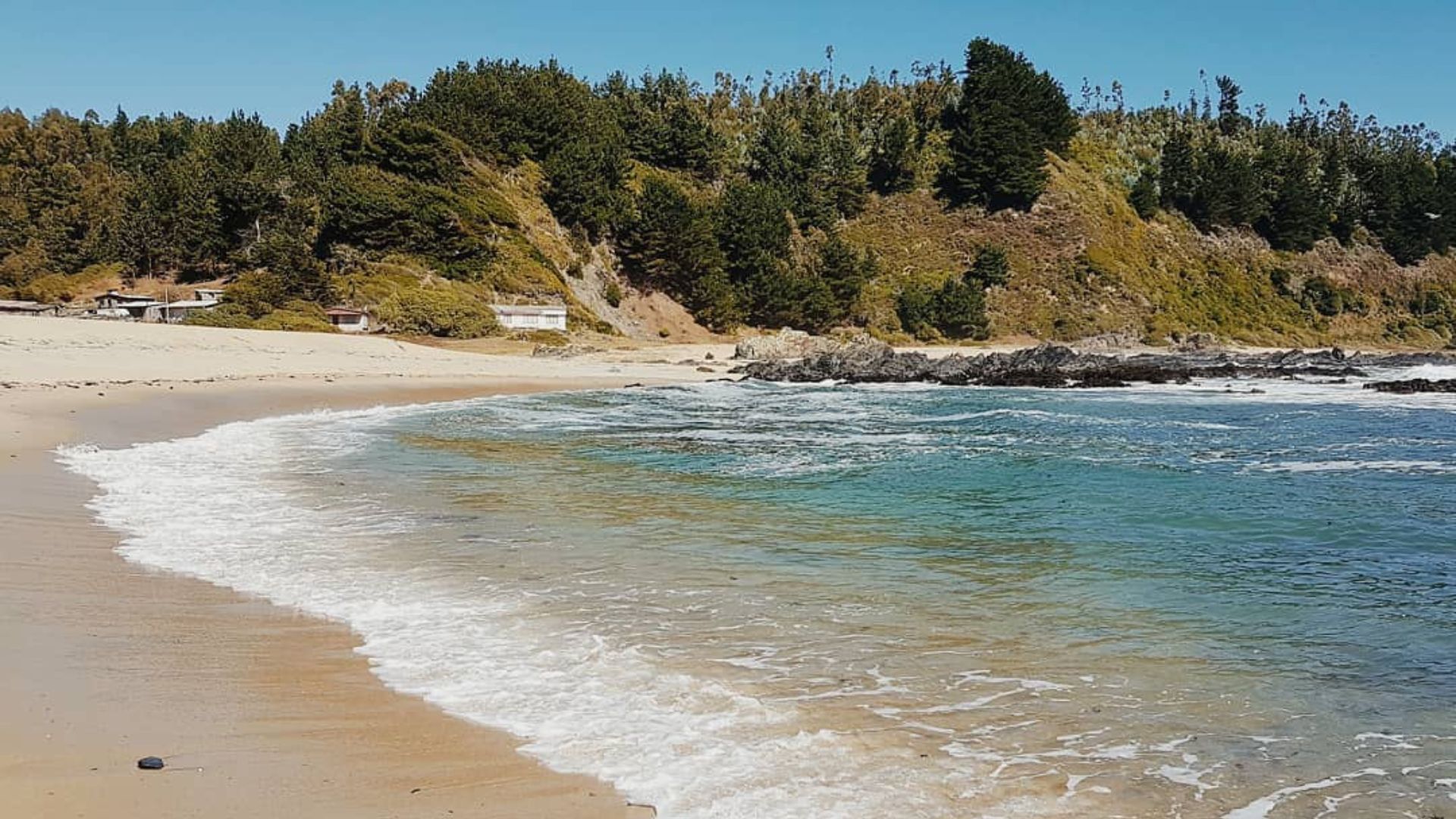 Merquinche, al igual que Pudá, Purema y Burca, destaca en la costa norte del Biobío.