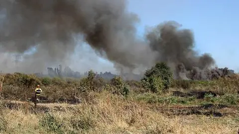 Sujetos detenidos por incendio forestal en Chillán Viejo quedaron con arraigo nacional: 150 hectáreas resultaron afectadas