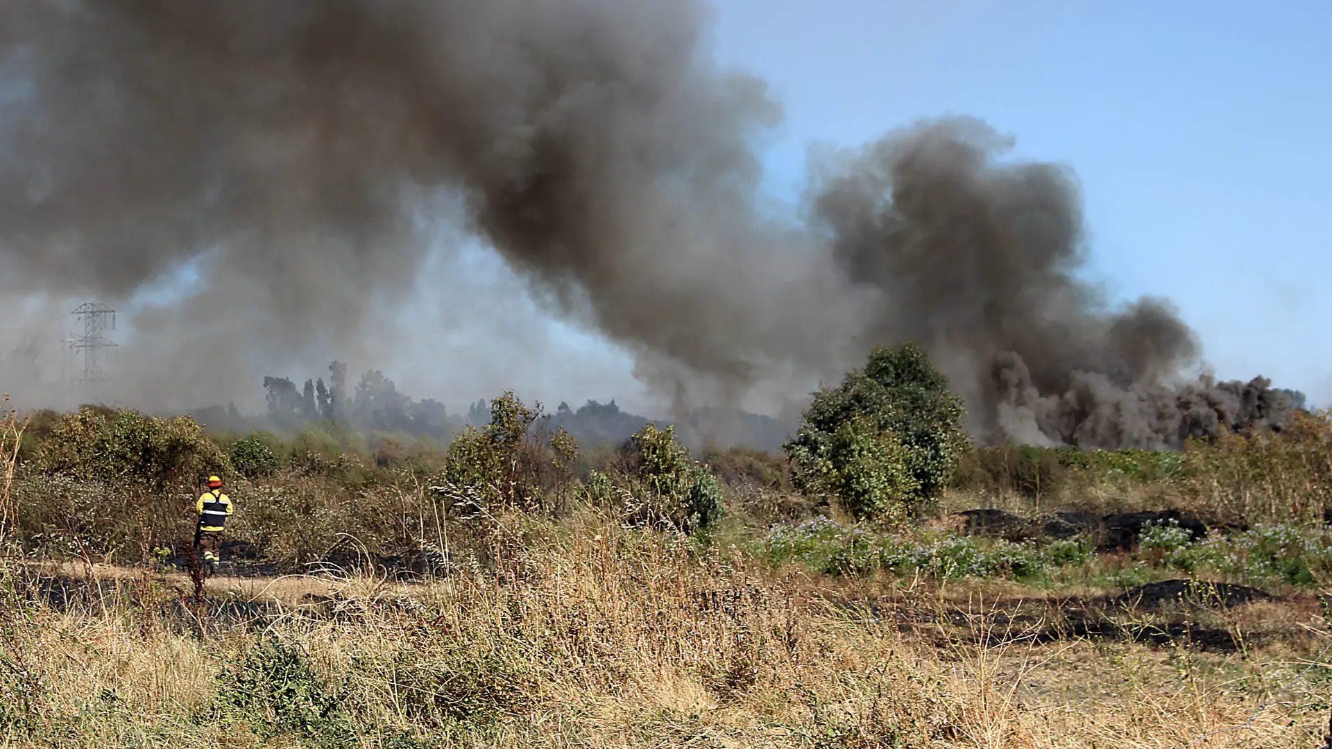Sujetos detenidos por incendio forestal en Chillán Viejo quedaron con arraigo nacional: 150 hectáreas resultaron afectadas
