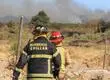 Tres hombres fueron detenidos por su presunta responsabilidad del incendio forestal en Chillán Viejo