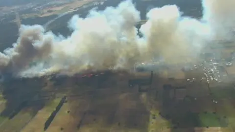Continúa Alerta Roja en Los Ángeles por incendio forestal: 60 hectáreas han sido destruidas