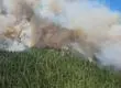 Emiten Alerta Roja en Mulchén por incendio forestal: Llaman a evacuar dos sectores de la comuna
