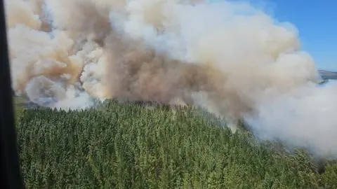 Emiten Alerta Roja en Mulchén por incendio forestal: Llaman a evacuar dos sectores de la comuna