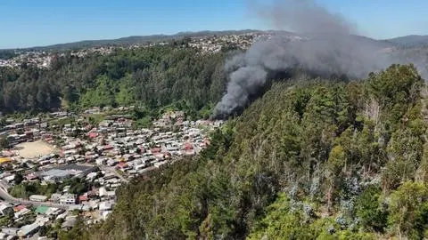 Llaman a evacuar sector El Santo en Tomé por incendio forestal: Activan Alerta Roja y mensajería SAE