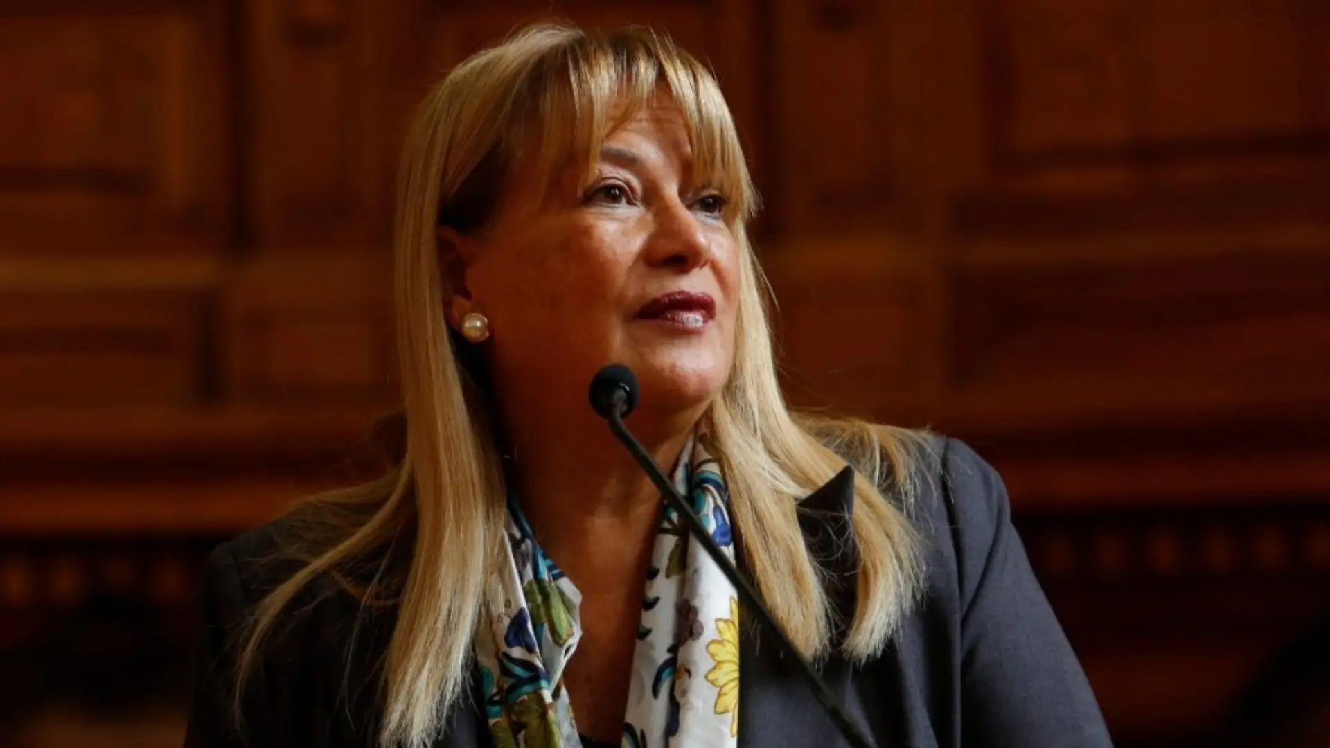 Los argumentos de la defensa de exministra Ángela Vivanco en querella de capítulos por trama Muñeca Bielorrusa