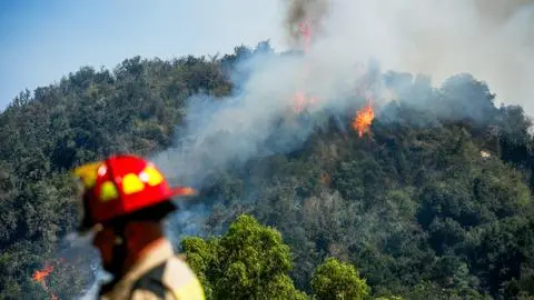 Sigue la Alerta Roja en el Maule por incendios forestales: más de mil hectáreas afectadas