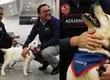 Tiernos nuevos funcionarios de Aduanas: Camada de cachorros se incorpora a labores de detección en Aeropuerto de Santiago