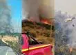 Incendio forestal en Litueche ha consumido 500 hectáreas: Reportan tres viviendas destruidas y un bombero herido