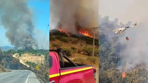 Incendio forestal en Litueche ha consumido 500 hectáreas: Reportan tres viviendas destruidas y un bombero herido