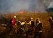 Otra vez por negligencia humana: Revelan que incendio forestal en Pencahue habría sido provocado por uso de galletera
