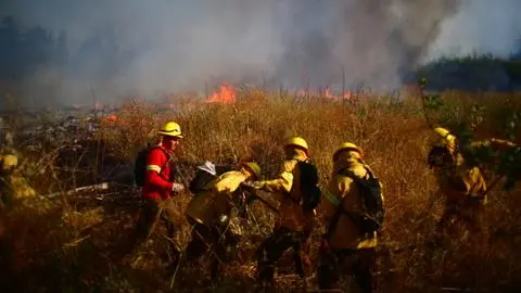 Otra vez por negligencia humana: Revelan que incendio forestal en Pencahue habría sido provocado por uso de galletera