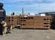 Más que simple madera: Incautan casi 20 toneladas de planchas impregnadas con cocaína en Arica