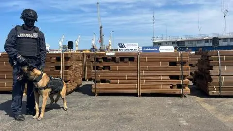 Más que simple madera: Incautan casi 20 toneladas de planchas impregnadas con cocaína en Arica