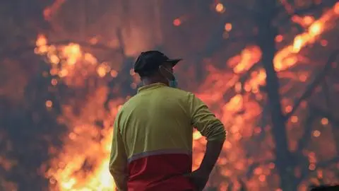 Senapred declara Alerta Roja y llama a evacuar sector de Cartagena por incendio forestal cercano a viviendas
