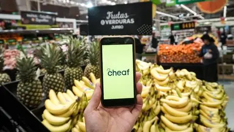 Plataforma digital Cheaf rescata más de 490.000 kilos de alimentos en sus primeros dos años en el Biobío