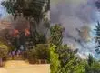 Niños jugando con un encendedor habrían provocado incendio forestal en Pichidegua: 235 hectáreas afectadas y dos viviendas destruidas