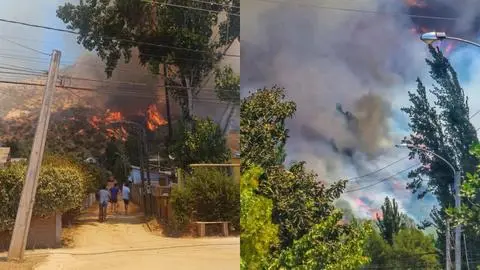 Niños jugando con un encendedor habrían provocado incendio forestal en Pichidegua: 235 hectáreas afectadas y dos viviendas destruidas