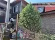 El peculiar “árbol navideño” hallado en San Bernardo: Planta de marihuana en vía pública tenía luces y adornos festivos