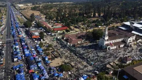 Caballo muere durante peregrinación a Santuario Lo Vásquez: Se desplomó en plena vía pública