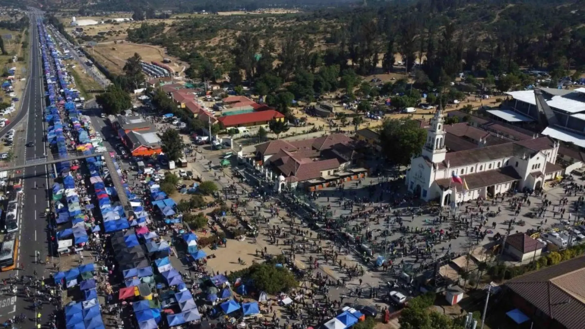 Caballo muere durante peregrinación a Santuario Lo Vásquez: Se desplomó en plena vía pública