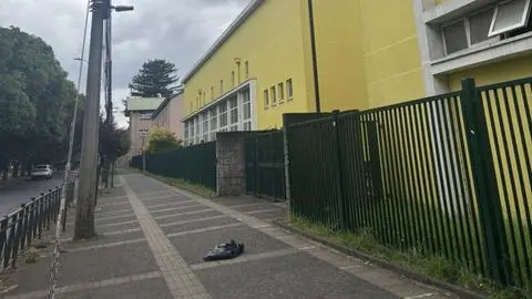 Nuevo caso de maltrato animal: Hallan a dos cachorros muertos en bolsas de basura en Temuco