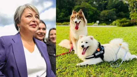 Jara impulsa Seguro Veterinario administrado por Fonasa y Red Nacional de Clínicas para mascotas dentro de su propuesta de gobierno