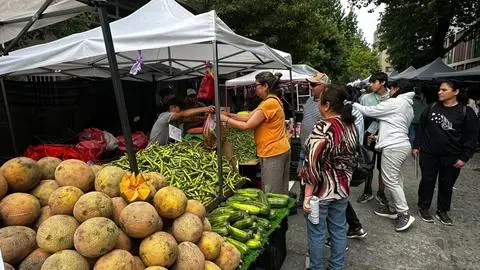 Comerciantes evalúan la organización de la feria de la Inmaculada Concepción: “Están asignando baños, lavamanos y hay seguridad”