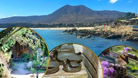 Los tesoros escondidos en el valle y la costa de la región de Coquimbo: Cuarzo, cerámica y fauna silvestre