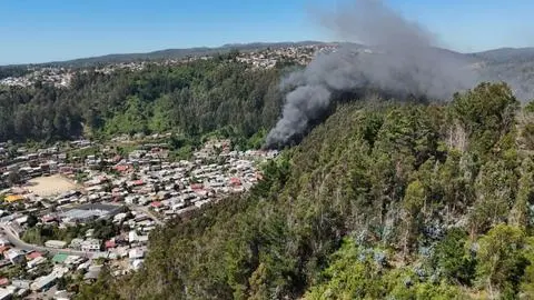 Incendios forestales en el Biobío: Gobierno cortará el suministro eléctrico de ser necesario